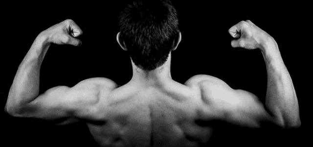 bodybuilding